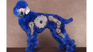 A dog groomed with a blue robot design.