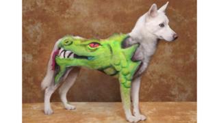 A white dog groomed with a green dragon design.