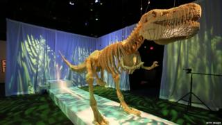 Tyrannosaurus Rex skeleton made out of lego.