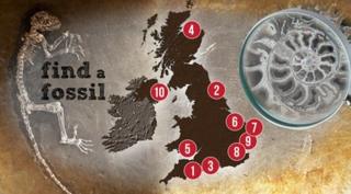 Map of places to find fossils in the UK.
