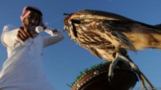 A hunter sprays water on his falcon