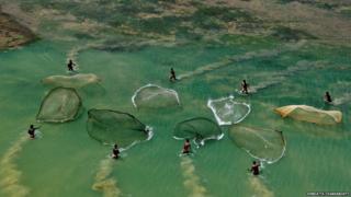 Fishermen casting their nets in a water body