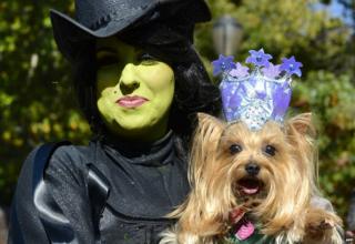 Minnie and her dog Elanor dressed witches