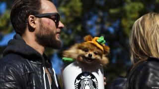 A dog dressed as a Pumpkin Spice Latte takes part in the 23rd annual Tompkins Square Halloween Dog Parade in New York October 26, 2013
