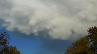 Bulbous clouds forming within a larger cloud.