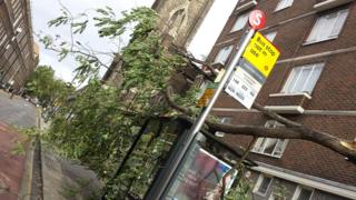 A tree has fallen on a bus stop. A yellow sign states: "Bus stop not in use."