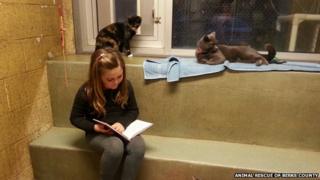 Girl reading to cat