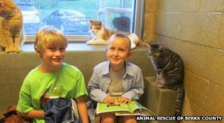Children reading to cats