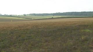 Richard Drax MP's estate solar farm plan faces judicial review - BBC News