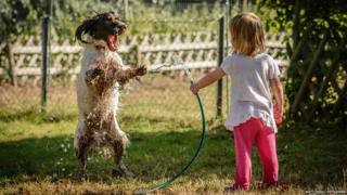 A girl sprays her dog with a hose.