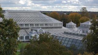 Kew Gardens unveils science strategy - BBC News