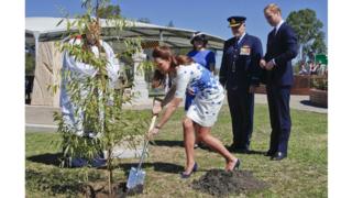 During the visit to the air base, Catherine, the Duchess of Cambridge plants a eucalyptus tree in the Memorial Garden in remembrance of service men and women who have died.