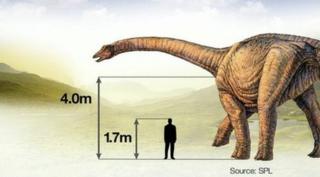 Graphic showing size of dinosaur