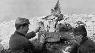 2 soldiers releasing carrier pigeons on front line during world war one