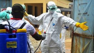 Ebola outbreak: Guinea health team killed - BBC News