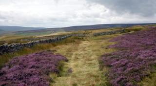 Moorland in the Yorkshire Dales