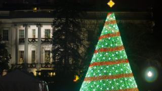 Christmas trees around the world - CBBC Newsround