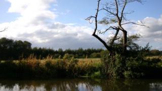 2014 Warmest Year On Record, Say US Researchers - BBC News