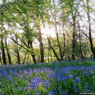 Your UK weather photos - BBC Weather