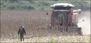 Brazilian farm