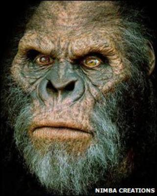 Big Foot. Image: Nimba Creations copywright