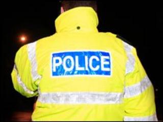 Three petrol bombs were thrown at a police vehicle in Derry
