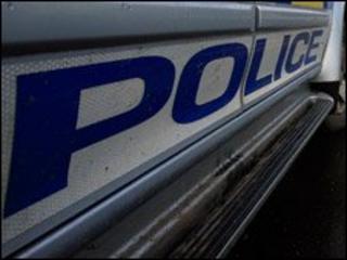 police car