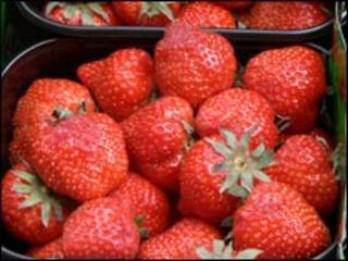 Strawberries