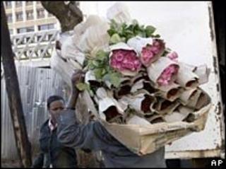 Kenyan roses