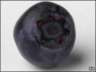 Blueberry