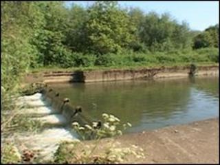 Bullstake Stream
