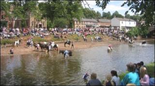 Horses in the River Eden