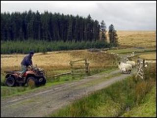 Quad bike