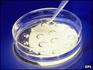 IVF technique