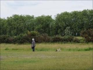 A woman walks her dog on Wanstead Flats, east London