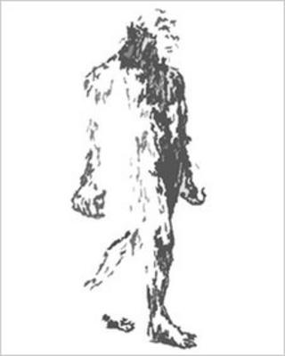Big Grey Man. Pic: Carrbridge Films