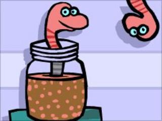 worms