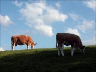 The Department of Agriculture was fined for payment made in error to farmers