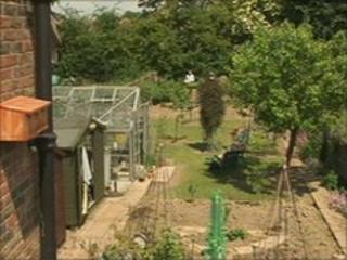 Garden in West Way, Three Bridge