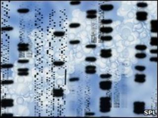 DNA sequence