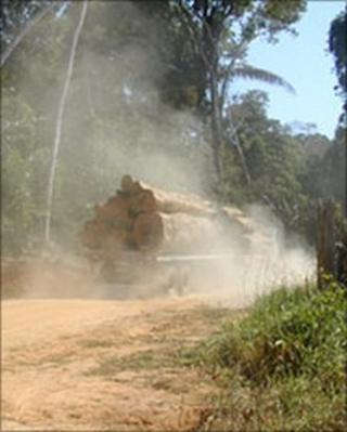 Logging lorry