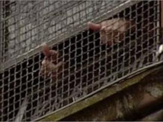 Bloody sunday relatives give thumbs up