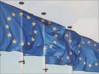 EU flags