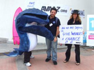 Protesters the IWC meeting