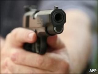 Gun