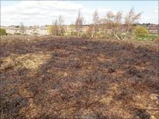 Fire-damaged area of Oak Tree Heath