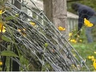 HT gardening