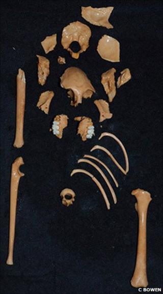 Fossilised remains of Antillothrix bernensis, an extinct monkey discovered in a cave in the Dominican Republic (Image: C Bowen)