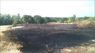 grass fire