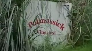 Polmassick Vineyard sign